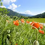 Farm stay Gailerhof