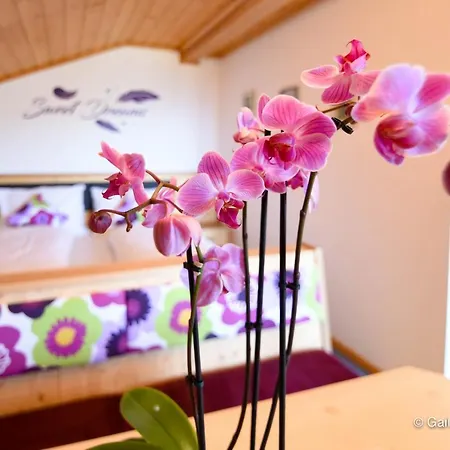 Gailerhof Farm stay Liesing