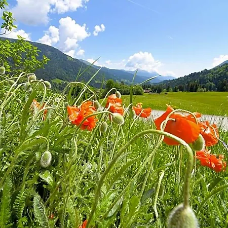 Gailerhof Liesing