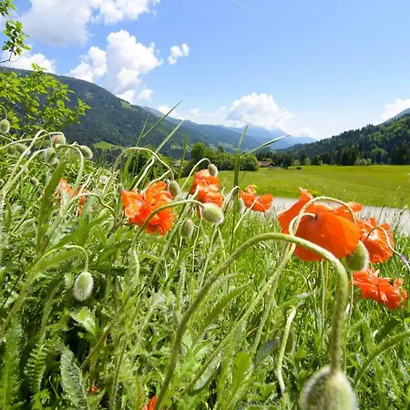 Farm stay Gailerhof