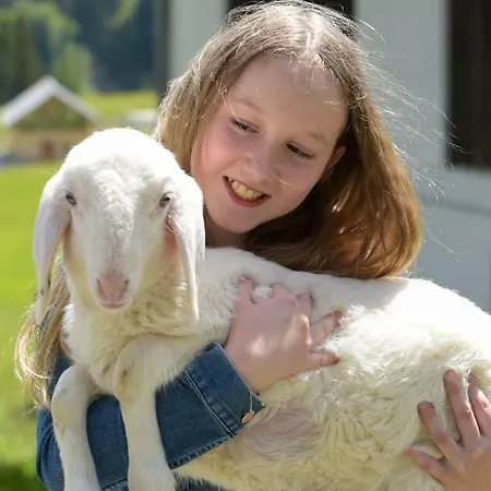 Gailerhof Farm stay *