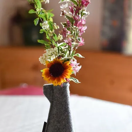 Farm stay Gailerhof *