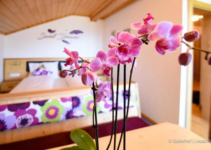 Gailerhof Feriegård Liesing