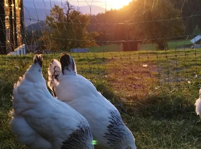 Feriegård Gailerhof *