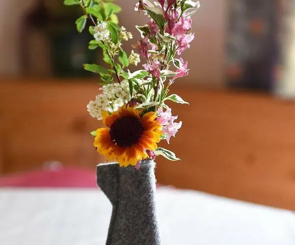 בית חווה Gailerhof *